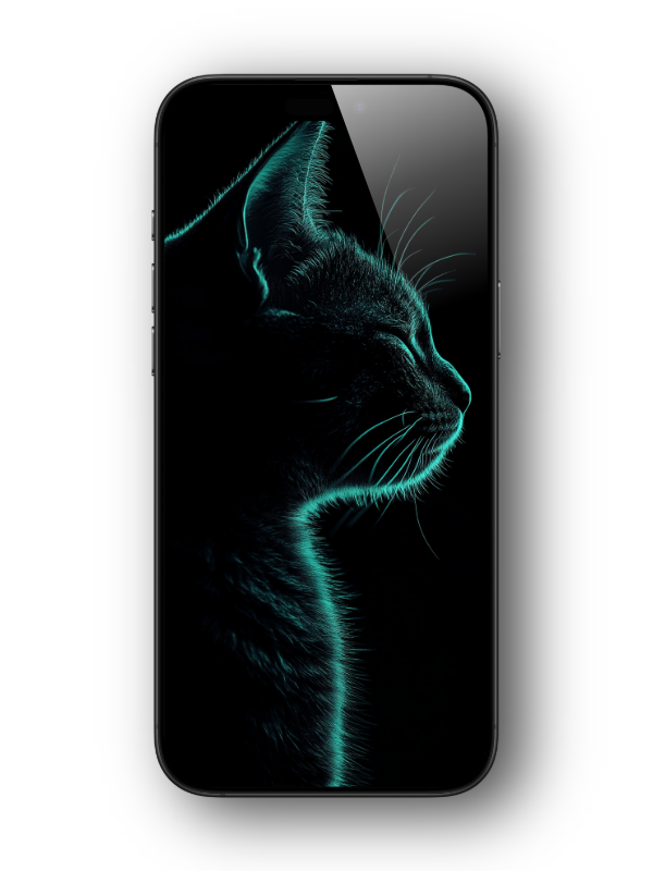 Free “Sleeping Cat” Wallpapers — Celebrate the Launch of Infinite Calmness Wallpapers Store